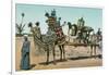 Camel-Borne Wedding Litter-null-Framed Art Print
