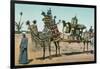 Camel-Borne Wedding Litter-null-Framed Art Print