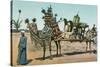 Camel-Borne Wedding Litter-null-Stretched Canvas