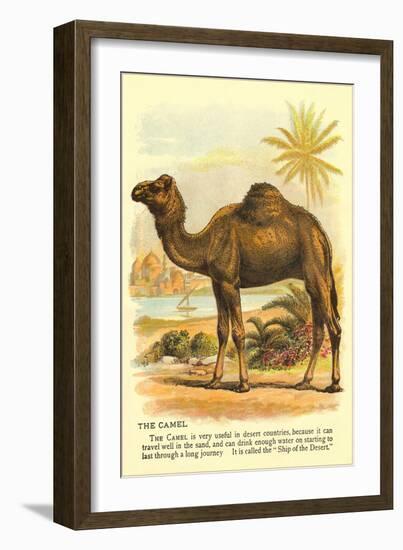 Camel by the Nile-null-Framed Art Print