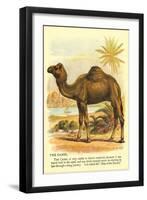 Camel by the Nile-null-Framed Art Print