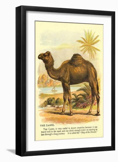 Camel by the Nile-null-Framed Art Print