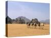 Camel Caravan, Akakus, Sahara Desert, Fezzan, Libya, North Africa, Africa-Sergio Pitamitz-Stretched Canvas
