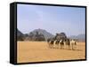 Camel Caravan, Akakus, Sahara Desert, Fezzan, Libya, North Africa, Africa-Sergio Pitamitz-Framed Stretched Canvas