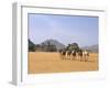 Camel Caravan, Akakus, Sahara Desert, Fezzan, Libya, North Africa, Africa-Sergio Pitamitz-Framed Photographic Print