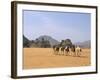 Camel Caravan, Akakus, Sahara Desert, Fezzan, Libya, North Africa, Africa-Sergio Pitamitz-Framed Photographic Print