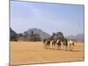 Camel Caravan, Akakus, Sahara Desert, Fezzan, Libya, North Africa, Africa-Sergio Pitamitz-Mounted Photographic Print
