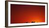 Camel Caravan at Sunrise, Silk Road, China-Keren Su-Framed Photographic Print