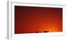 Camel Caravan at Sunrise, Silk Road, China-Keren Su-Framed Photographic Print