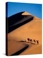 Camel Caravan at Sunset, Silk Road, China-Keren Su-Stretched Canvas