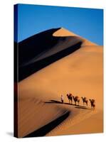Camel Caravan at Sunset, Silk Road, China-Keren Su-Stretched Canvas