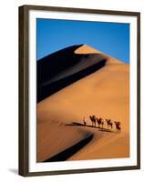 Camel Caravan at Sunset, Silk Road, China-Keren Su-Framed Premium Photographic Print