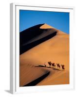 Camel Caravan at Sunset, Silk Road, China-Keren Su-Framed Premium Photographic Print