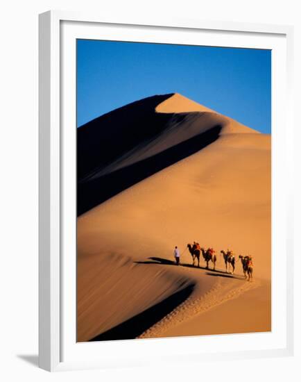 Camel Caravan at Sunset, Silk Road, China-Keren Su-Framed Premium Photographic Print