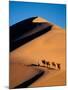 Camel Caravan at Sunset, Silk Road, China-Keren Su-Mounted Premium Photographic Print