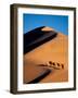 Camel Caravan at Sunset, Silk Road, China-Keren Su-Framed Photographic Print