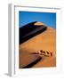 Camel Caravan at Sunset, Silk Road, China-Keren Su-Framed Photographic Print