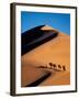 Camel Caravan at Sunset, Silk Road, China-Keren Su-Framed Photographic Print