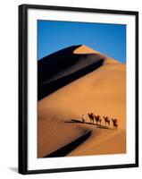 Camel Caravan at Sunset, Silk Road, China-Keren Su-Framed Photographic Print