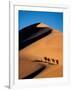 Camel Caravan at Sunset, Silk Road, China-Keren Su-Framed Photographic Print