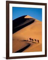 Camel Caravan at Sunset, Silk Road, China-Keren Su-Framed Photographic Print