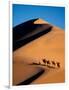 Camel Caravan at Sunset, Silk Road, China-Keren Su-Framed Photographic Print