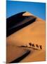 Camel Caravan at Sunset, Silk Road, China-Keren Su-Mounted Photographic Print