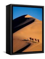 Camel Caravan at Sunset, Silk Road, China-Keren Su-Framed Stretched Canvas