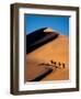 Camel Caravan at Sunset, Silk Road, China-Keren Su-Framed Photographic Print