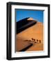 Camel Caravan at Sunset, Silk Road, China-Keren Su-Framed Photographic Print