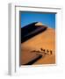 Camel Caravan at Sunset, Silk Road, China-Keren Su-Framed Photographic Print