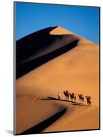 Camel Caravan at Sunset, Silk Road, China-Keren Su-Mounted Photographic Print