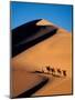 Camel Caravan at Sunset, Silk Road, China-Keren Su-Mounted Photographic Print