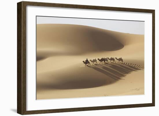 Camel caravan, Badain Jaran Desert, Inner Mongolia, China.-Ellen Anon-Framed Photographic Print