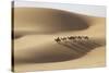 Camel caravan, Badain Jaran Desert, Inner Mongolia, China.-Ellen Anon-Stretched Canvas