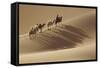 Camel caravan, Badain Jaran Desert, Inner Mongolia, China.-Ellen Anon-Framed Stretched Canvas