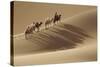 Camel caravan, Badain Jaran Desert, Inner Mongolia, China.-Ellen Anon-Stretched Canvas