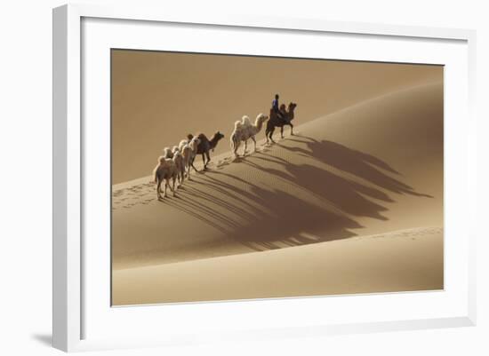 Camel caravan, Badain Jaran Desert, Inner Mongolia, China.-Ellen Anon-Framed Photographic Print