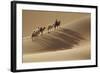 Camel caravan, Badain Jaran Desert, Inner Mongolia, China.-Ellen Anon-Framed Photographic Print