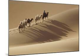 Camel caravan, Badain Jaran Desert, Inner Mongolia, China.-Ellen Anon-Mounted Photographic Print