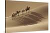 Camel caravan, Badain Jaran Desert, Inner Mongolia, China.-Ellen Anon-Stretched Canvas