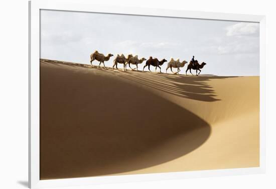 Camel caravan, Badain Jaran Desert, Inner Mongolia, China.-Ellen Anon-Framed Photographic Print