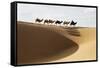 Camel caravan, Badain Jaran Desert, Inner Mongolia, China.-Ellen Anon-Framed Stretched Canvas