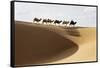 Camel caravan, Badain Jaran Desert, Inner Mongolia, China.-Ellen Anon-Framed Stretched Canvas