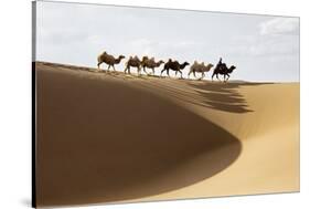 Camel caravan, Badain Jaran Desert, Inner Mongolia, China.-Ellen Anon-Stretched Canvas