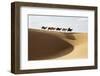 Camel caravan, Badain Jaran Desert, Inner Mongolia, China.-Ellen Anon-Framed Photographic Print