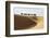 Camel caravan, Badain Jaran Desert, Inner Mongolia, China.-Ellen Anon-Framed Photographic Print