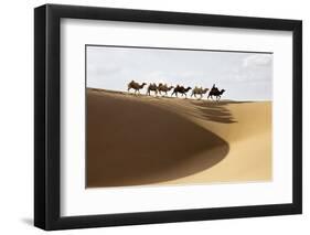 Camel caravan, Badain Jaran Desert, Inner Mongolia, China.-Ellen Anon-Framed Photographic Print