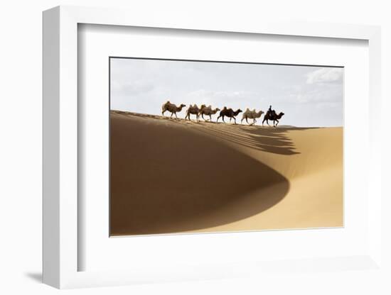 Camel caravan, Badain Jaran Desert, Inner Mongolia, China.-Ellen Anon-Framed Photographic Print