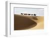 Camel caravan, Badain Jaran Desert, Inner Mongolia, China.-Ellen Anon-Framed Photographic Print